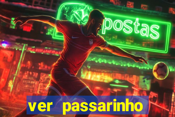 ver passarinho morto significado